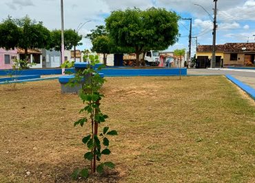 b0815536-971b-44b3-b134-f5a5728827c5