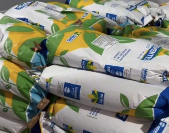 Japoatã recebe 1 tonelada de sementes de milho para fortalecer produção de agricultores familiares