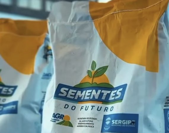 Carira inicia entrega de sementes e garante apoio à agricultura familiar antes do período de chuvas
