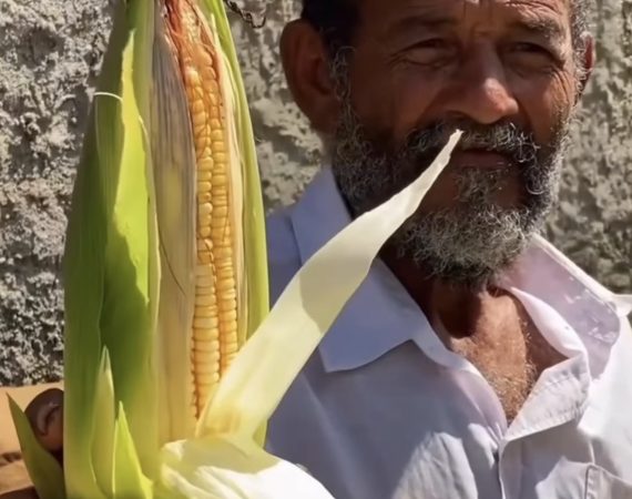 PAA fortalece agricultura familiar e garante alimentos de qualidade para famílias em vulnerabilidade em Estância