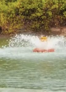 Curso de Aquicultura capacita moradores e incentiva produção de peixes e camarões em Moita Bonita