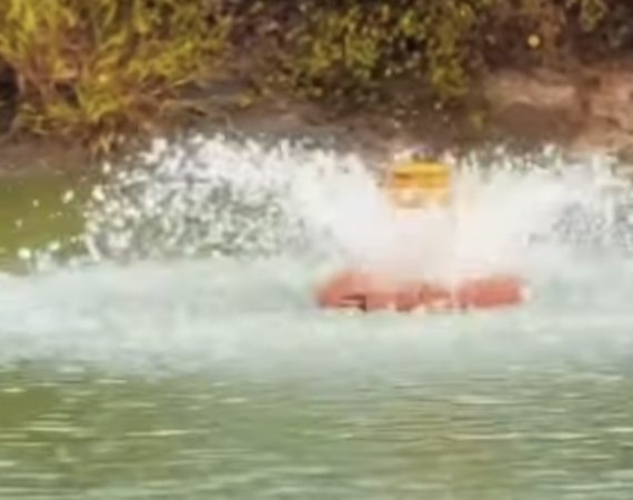 Curso de Aquicultura capacita moradores e incentiva produção de peixes e camarões em Moita Bonita