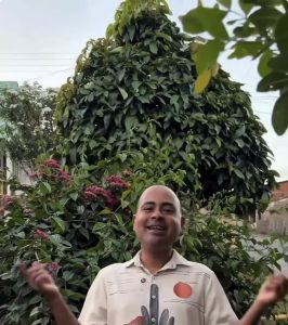 Prefeitura de Pacatuba prepara edição especial do Cultura na Praça com tradição, cultura popular e música