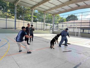 GUARDA MUNICIPAL DE ITABAIANINHA REALIZA TREINAMENTO DE OPERAÇÕES COM CÃES EM AMBIENTES DE SEGURANÇA