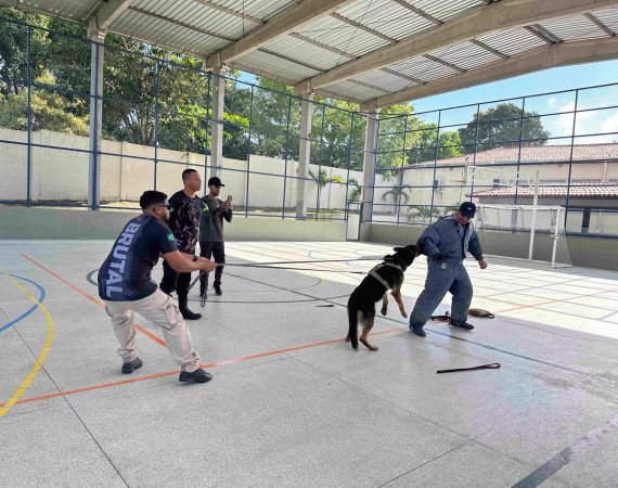 GUARDA MUNICIPAL DE ITABAIANINHA REALIZA TREINAMENTO DE OPERAÇÕES COM CÃES EM AMBIENTES DE SEGURANÇA