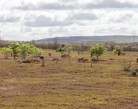 Boletim Técnico do El Niño atualiza cenário climático e facilita acesso às informações climáticas